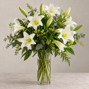 Lily Splendor