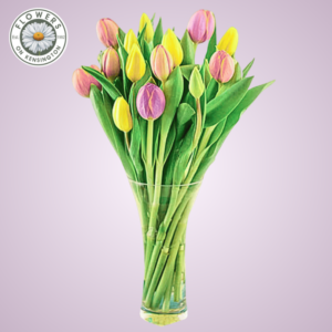 Just Tulips